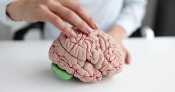 Female hand strokes mock up of human brain — Stockvideo