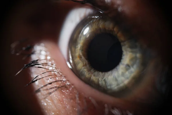 Female brown eye with eyelash macro photography — стоковое фото