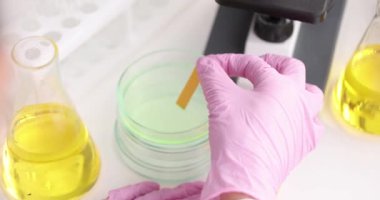 Scientist chemist testing acidity of detergent in petri dish using litmus paper closeup 4k movie slow motion