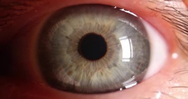 Human eye is light green slow motion 4k movie