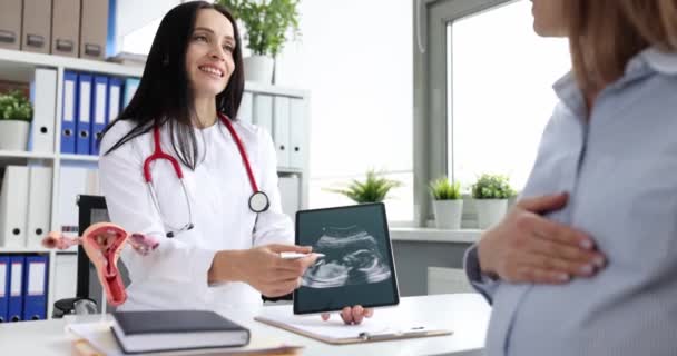 Gynecologist shows ultrasound scan of fetus to pregnant woman — Stok video