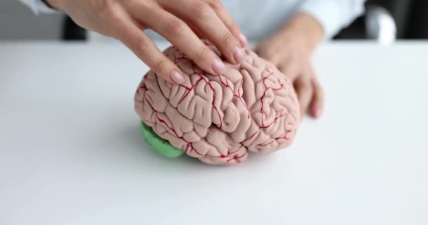 Female hand strokes mock up of human brain — Vídeo de Stock