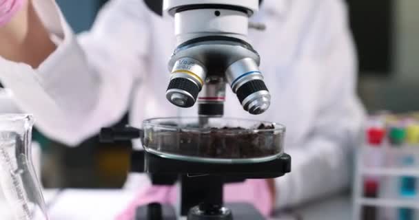 Scientist adds liquid to sample with soil closeup — 图库视频影像