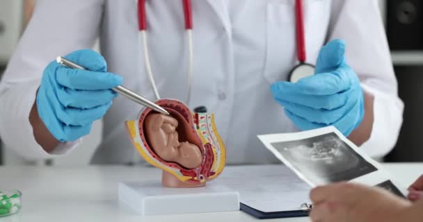 Pregnant woman holds ultrasound sonogram and communicates with gynecologist — Stock Video