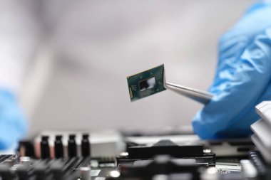 Fingers in blue gloves a microchip with tweezers
