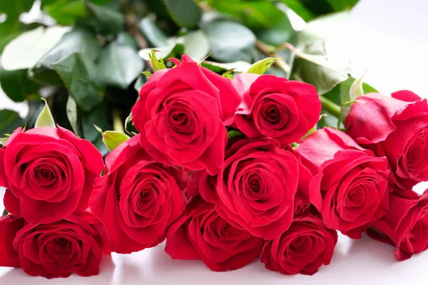 Many buds of red roses on a white background, wallpaper — Stockfoto