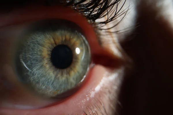 Ojo de las personas, macro toma de órgano de la vista femenina, hermoso color de ojos verdes — Foto de Stock
