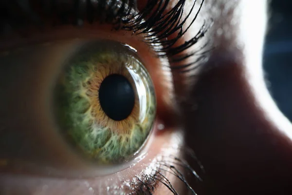 Weiblich eine grüngraue Augen Nahaufnahme. Weitsichtigkeit Kurzsichtigkeit — Stockfoto