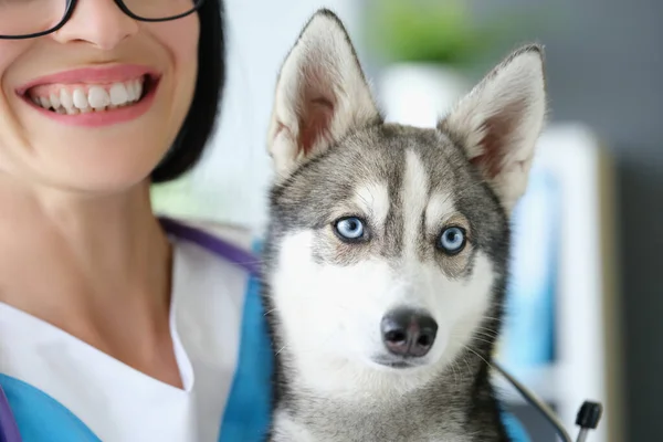 Feliz veterinária mulher transportar cão fofo doce no veterinário — Fotografia de Stock