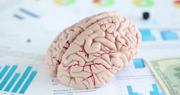 Kunstig model af menneskelige hjerne liggende på dokumenter med grafer closeup 4k film slow motion – Stock-video