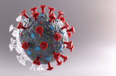 Koronavirüs enfeksiyonunun yapay modeli.