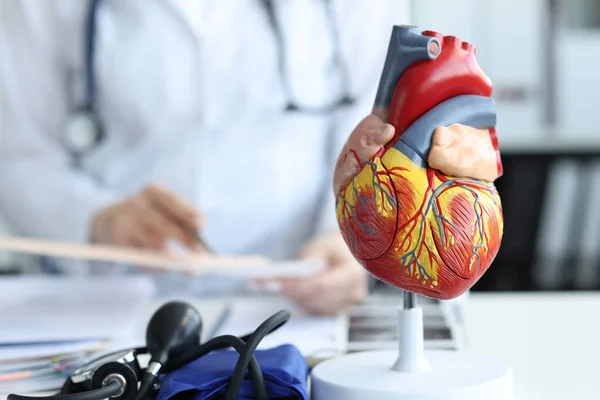 心臓病学的接近を背景にしたヒト心臓の人工プラモデル — ストック写真