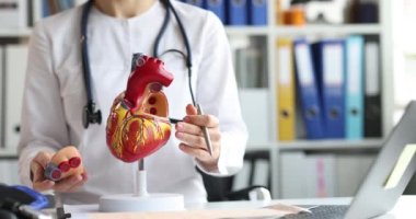 Doktor kardiyolog, yapay model yakın plan 4K film üzerinde kalp yapısı gösteriyor.
