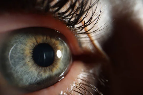 Женский глаз с черными покрашенными ресницами крупным планом — стоковое фото