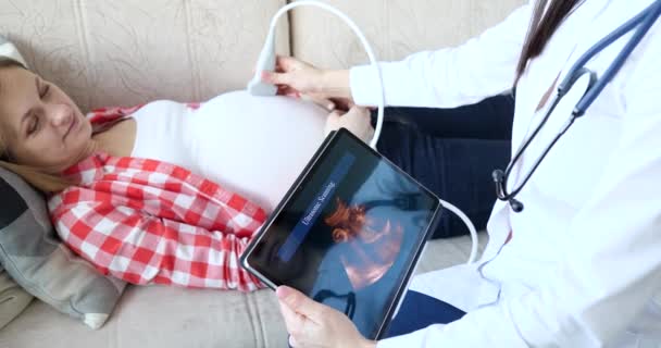 El médico hace una ecografía de la mujer embarazada en el primer plano del hogar — Vídeo de stock