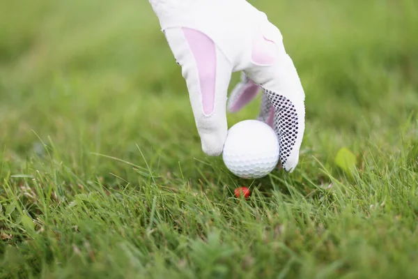 Професійний гравець в гольф ставить м'яч на тримач на зеленому полі гри — стокове фото
