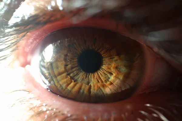 Gyönyörű ember szeme bolyhos szempillák, makro lövés az emberi szem néz a kamerába — Stock Fotó
