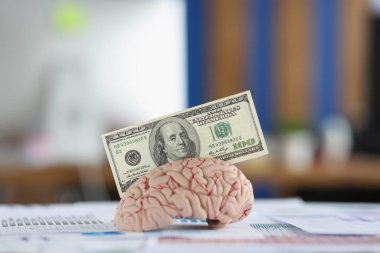 Banknote insan beyninin anatomik modelini yerleştirdi, iş kağıtlarını masaya koydu.