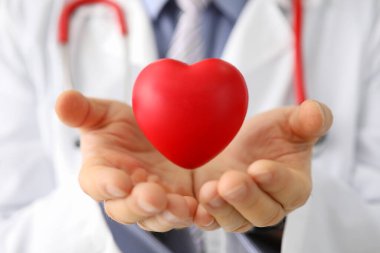 Doktor kardiyolog küçük kırmızı kalbi kendine yakın tutuyor.