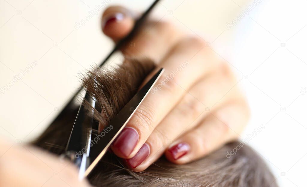 Hairdresser cuts ends of client hair closeup