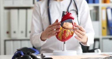 Kardiyolojideki doktor kalp kapanışının düzenini gösteriyor.