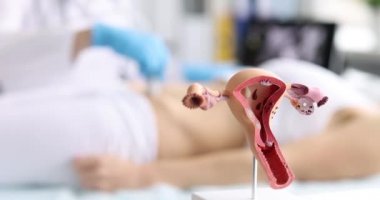 Jinekolog kadın rahminin ultrasonunu yakından çekiyor.