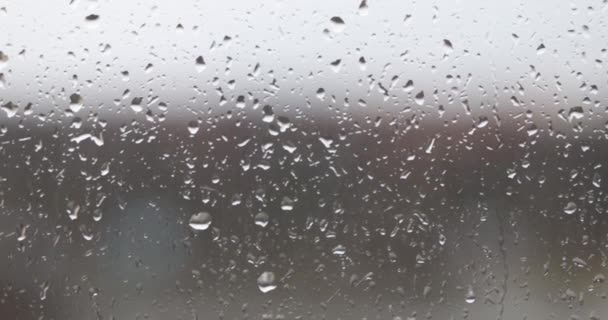 Esőcseppek az ablaktáblán a viharos égbolt közelsége ellen — Stock videók