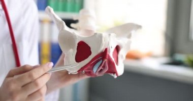 Doktor jinekolog kaslı kadın leğen kemiğinin 4K yakın plan filmini gösteriyor.