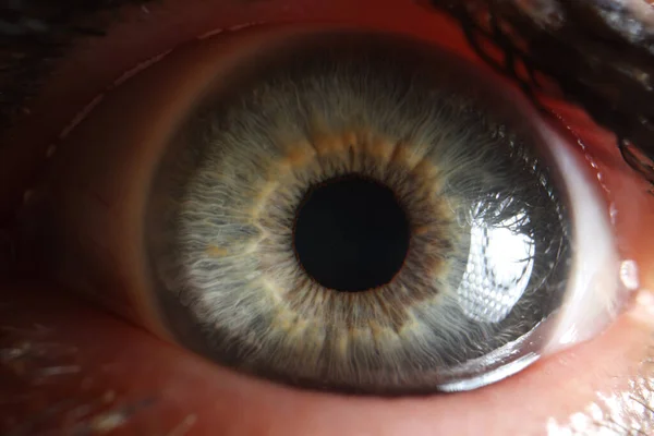Vista macro del ojo humano abierto, pupila pequeña — Foto de Stock