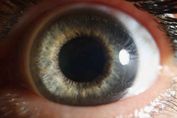 Makro menschliches Auge, erweiterte Pupille von grauer Farbe, Netzhaut in Großaufnahme — Stockfoto
