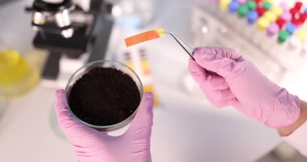 科学者化学者は実験室でリトマス紙で土壌の酸性度をテストするクローズアップ4k映画 — ストック動画