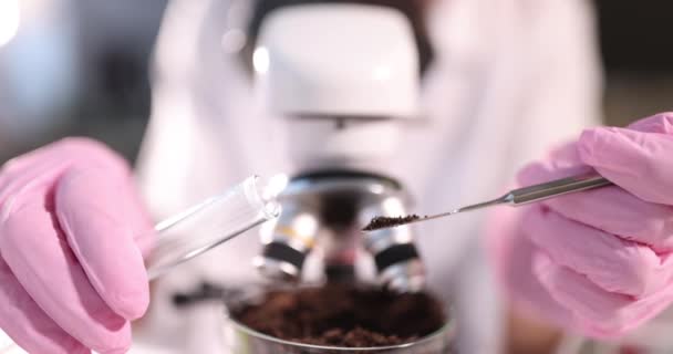 Naukowiec chemik badający próbkę gleby przed mikroskopem w laboratoryjnym zbliżeniu 4k filmu — Wideo stockowe