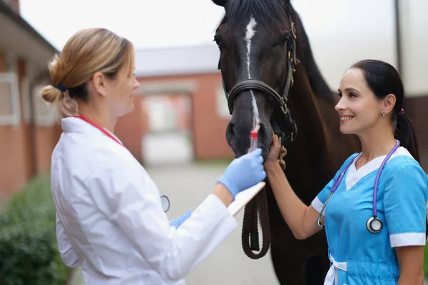 Женщины-ветеринары держат пробирку с анализом возле лошади — стоковое фото