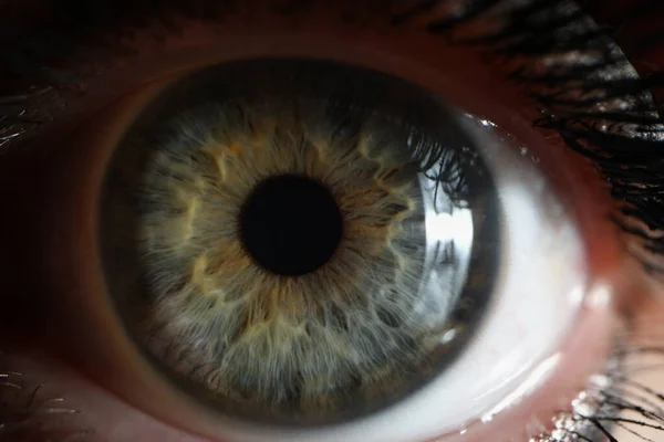 Grünes weibliches Auge mit Wimperntusche, detailliertes Bild — Stockfoto