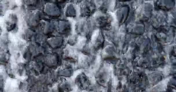 Mountain stream flowing water over wet rocks closeup — 비디오