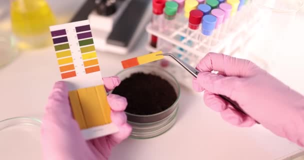 Gloved hand holds litmus test for soil analysis — Stock Video