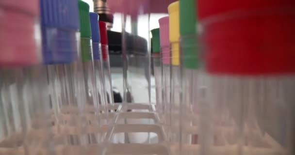 Scientist examines multicolored liquids in test tubes — стоковое видео