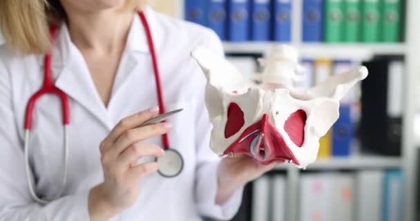 El médico muestra la ubicación de la pelvis femenina y los músculos de primer plano — Vídeo de stock