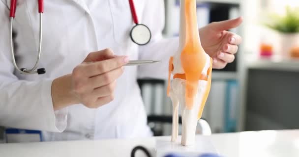 Lékař ukazuje přední a zadní křížové vazy a patella model nohy — Stock video