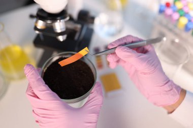 Laboratuvarda PH test şeridi ve toprak çalışması.