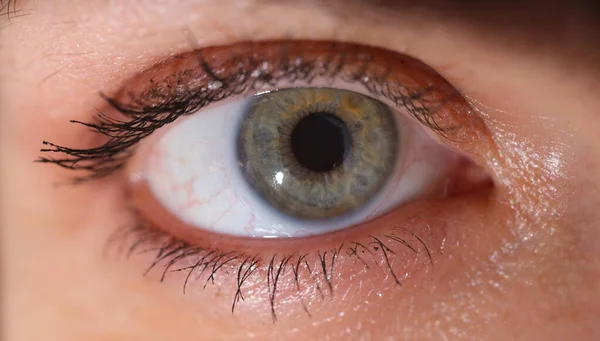 Œil féminin gris-vert avec cils peints — Photo