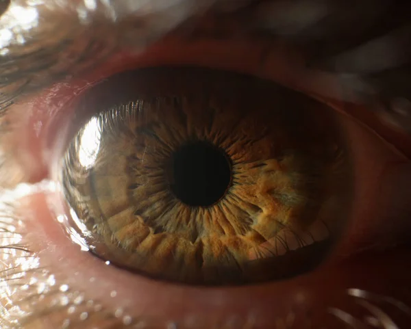 Глаз человека, экстремальный макроснимок женского или мужского зрительного органа, тени зеленого цвета глаз — стоковое фото