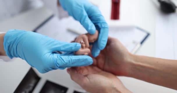 Gynecologist passes model of fetus to woman child closeup — Stock videók