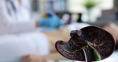 Doktor klinikte karaciğer ultrasonunu hastaya yakın çekim yapar.