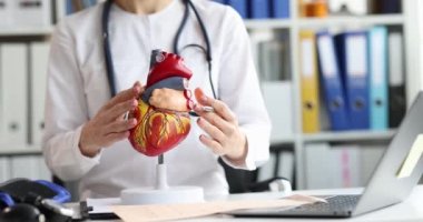 Cardiologist shows anatomy of heart in cardiology clinic