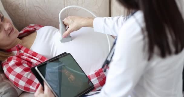 Gynecologist conducts ultrasound to pregnant woman on tablet at home — ストック動画