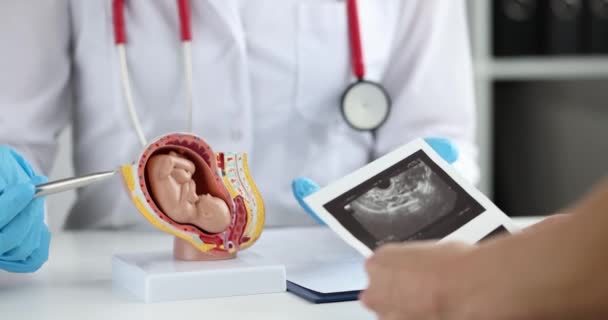 Ο γιατρός διαβάζει υπερηχογράφημα της υγιούς εγκύου κατά τη διάρκεια της εγκυμοσύνης — Αρχείο Βίντεο