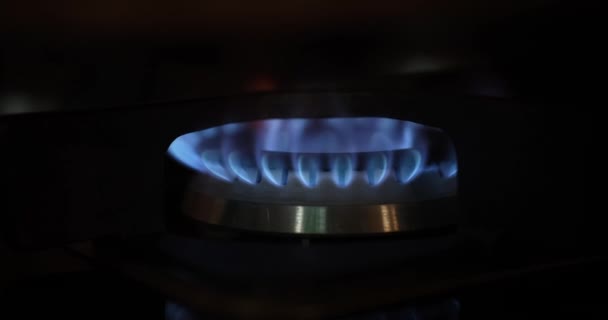 Gas burner on stove with blue fire at home closeup 4k movie — стоковое видео