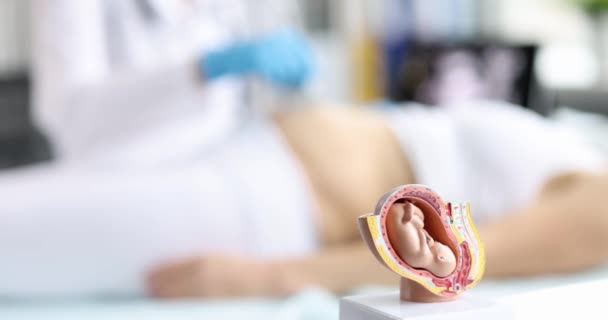 Médico realiza examen por ultrasonido de la mujer embarazada en primer plano clínica — Vídeo de stock