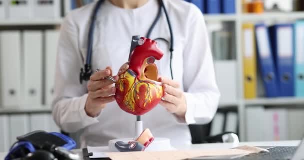 Καρδιολόγος δείχνει ανατομία της καρδιάς στο μοντέλο — Αρχείο Βίντεο